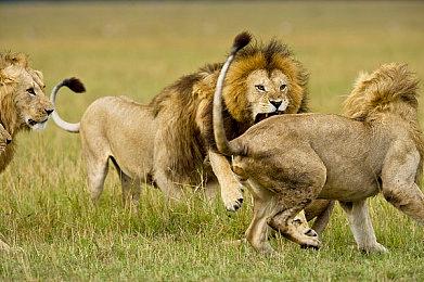 《鬼武者：剑之道》全新预告 战斗非常刺激