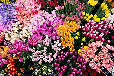 Switch《斯普拉遁3》成日本玩家最期待游戏